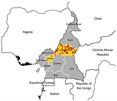 Drivers of Live Cattle Price in the Livestock Trading System of Central Cameroon